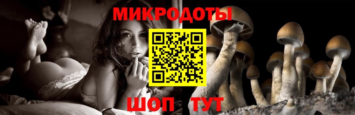 где купить наркотик  Псилоцибиновые грибы MAGIC MUSHROOMS  Волгоград  Вход с VPN  Галлюциногенные грибы ЛСД 